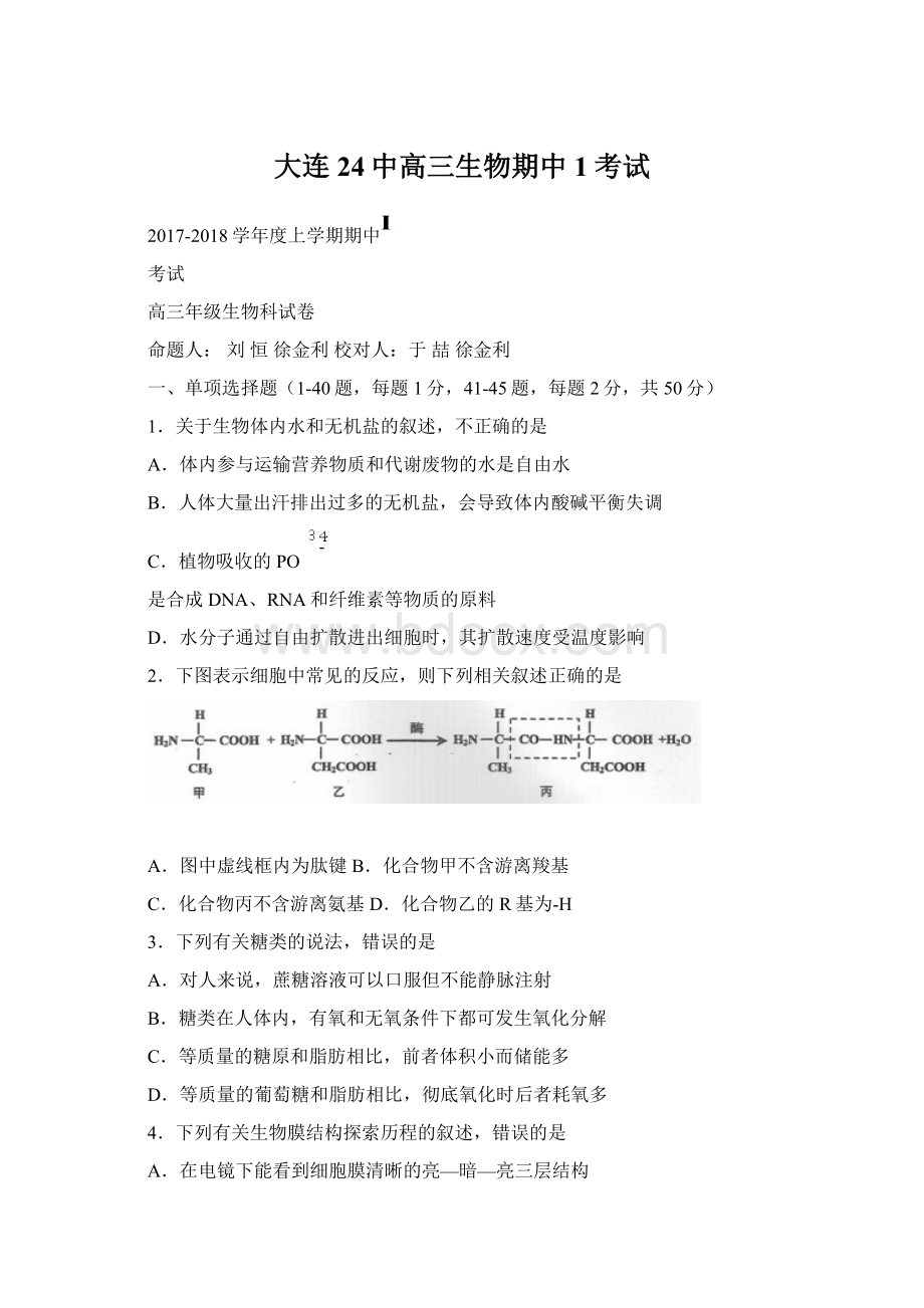 大连24中高三生物期中1考试Word格式文档下载.docx