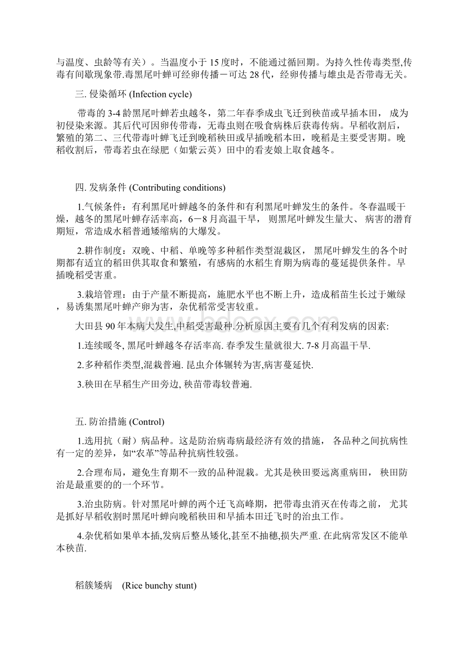 水稻病毒病.docx_第2页