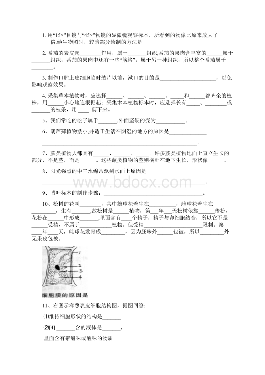 初中生物练习题Word格式.docx_第3页