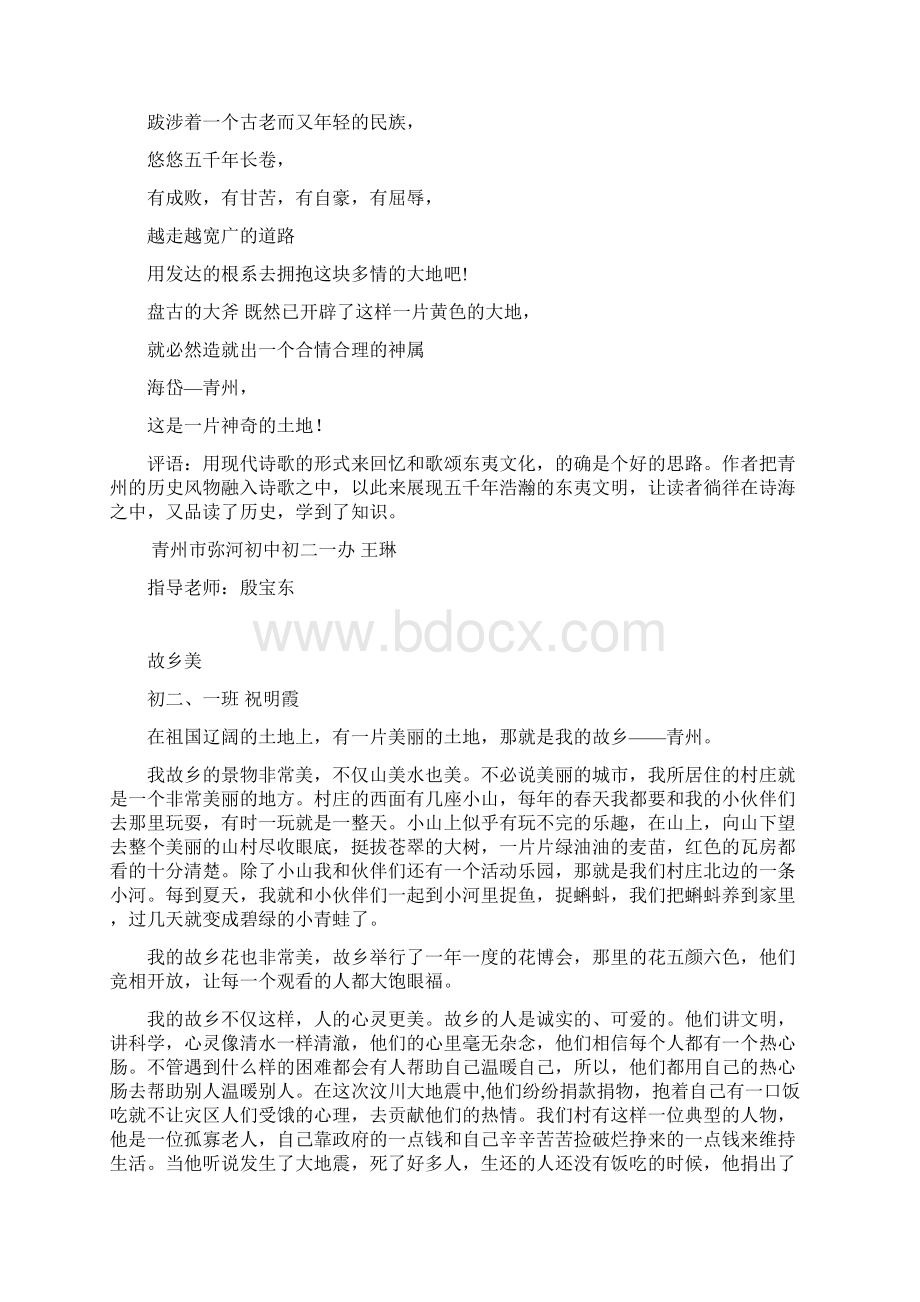 初二一班王琳.docx_第2页