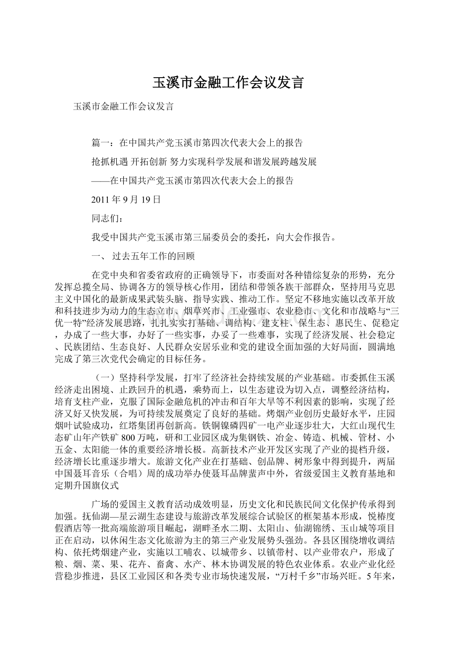 玉溪市金融工作会议发言Word文档下载推荐.docx