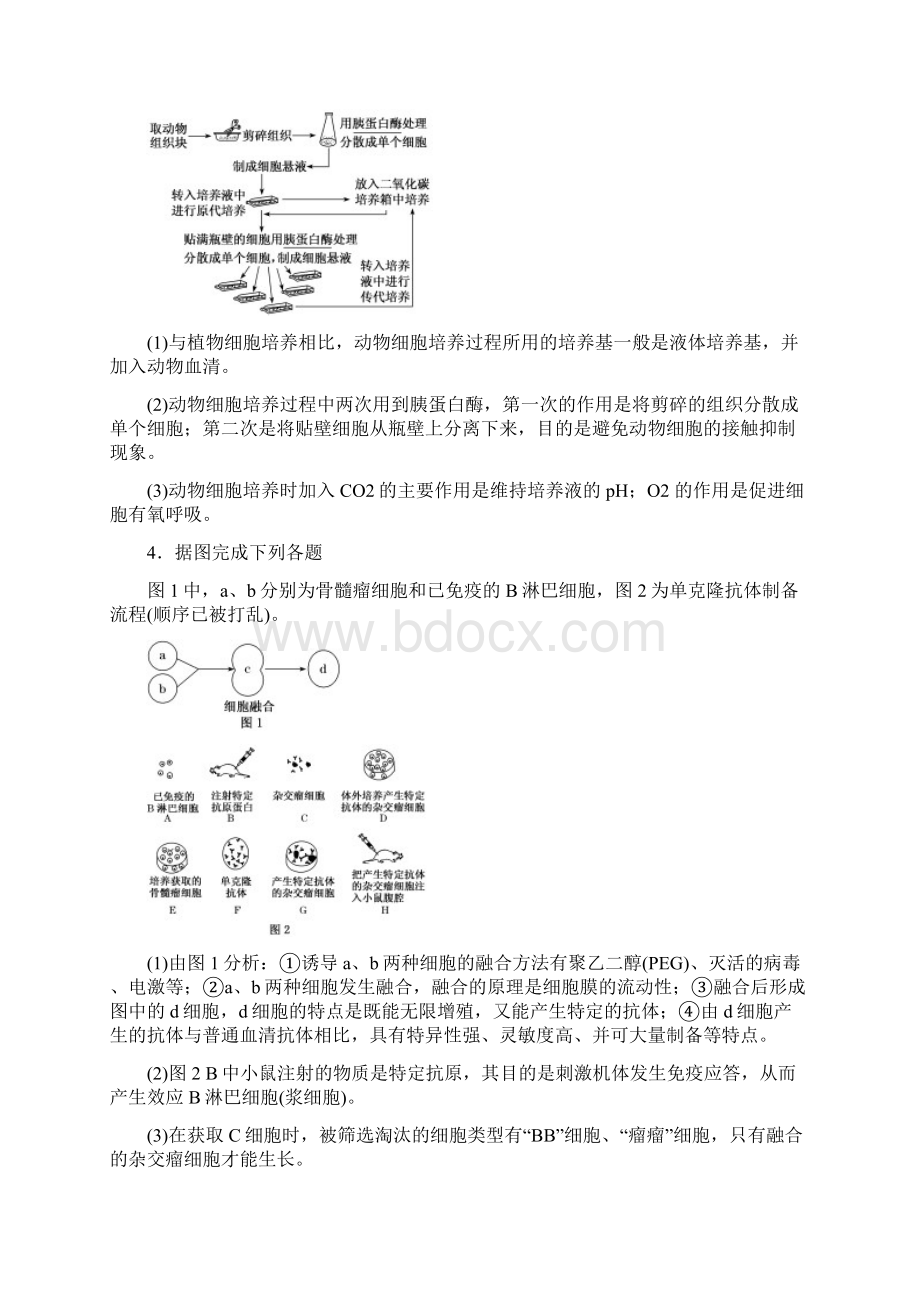 19版高考生物一轮复习现代生物科技专题第二讲细胞工程精选教案Word文档格式.docx_第3页