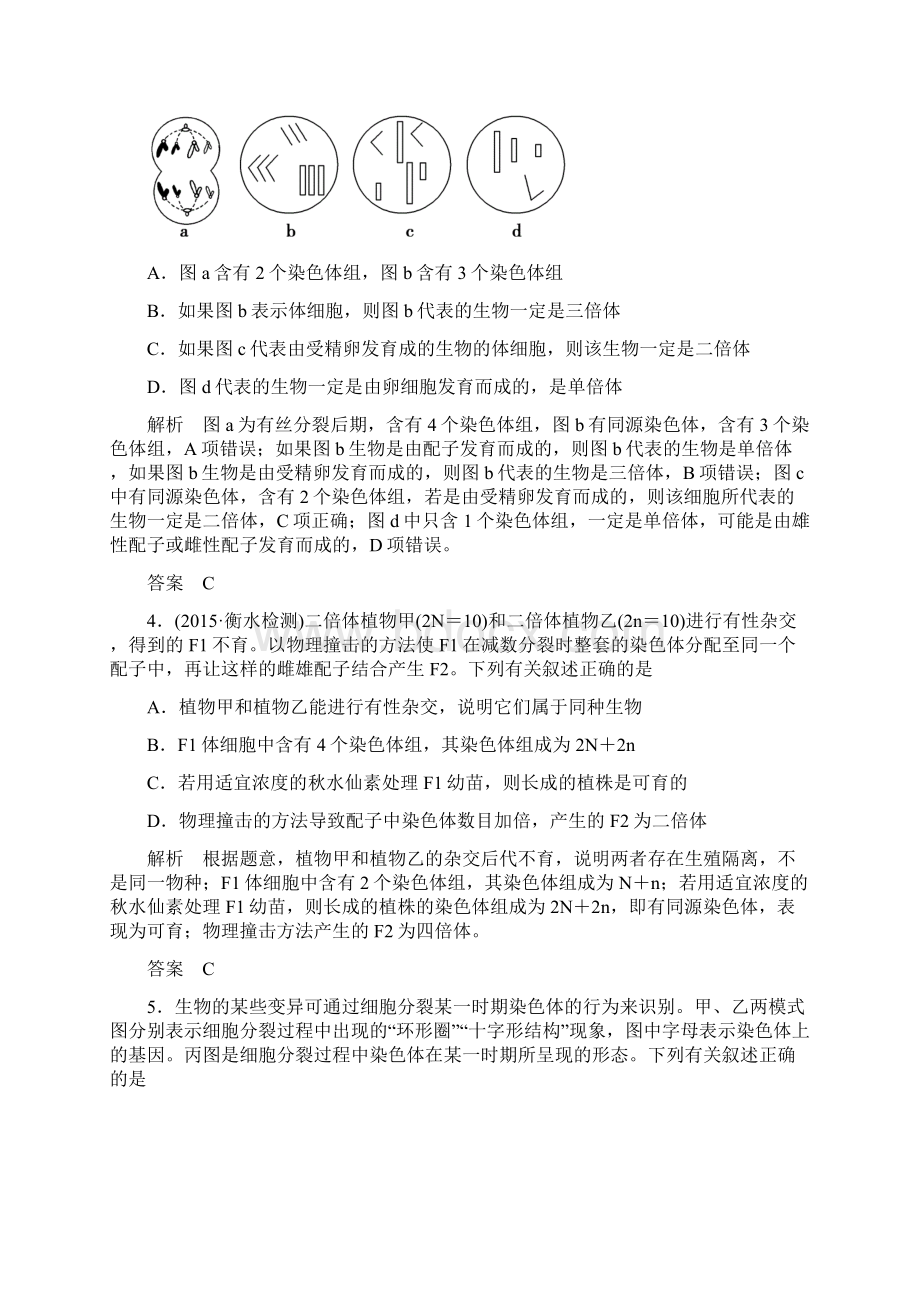 染色体变异Word文件下载.docx_第2页