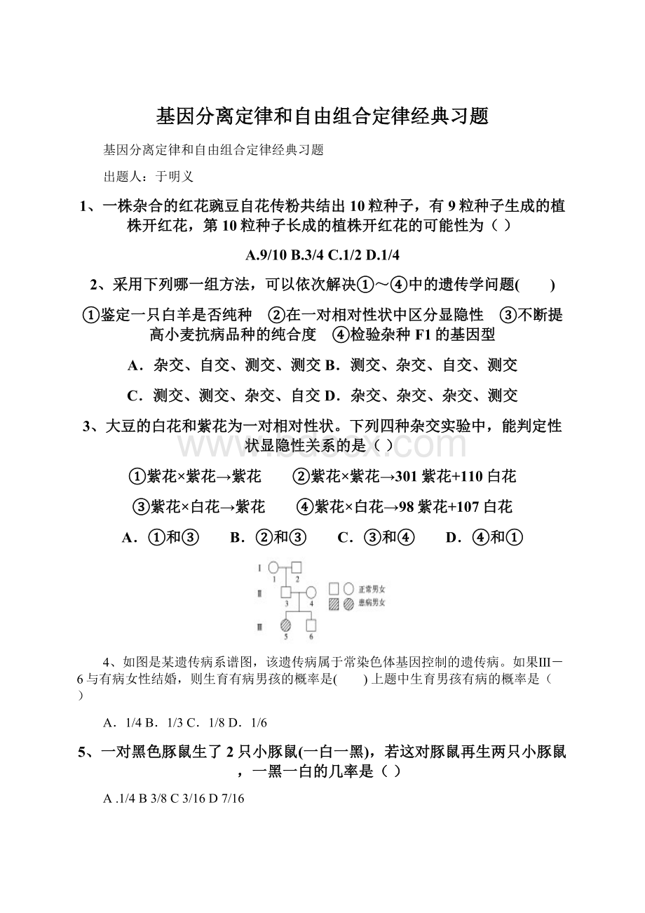 基因分离定律和自由组合定律经典习题Word格式文档下载.docx