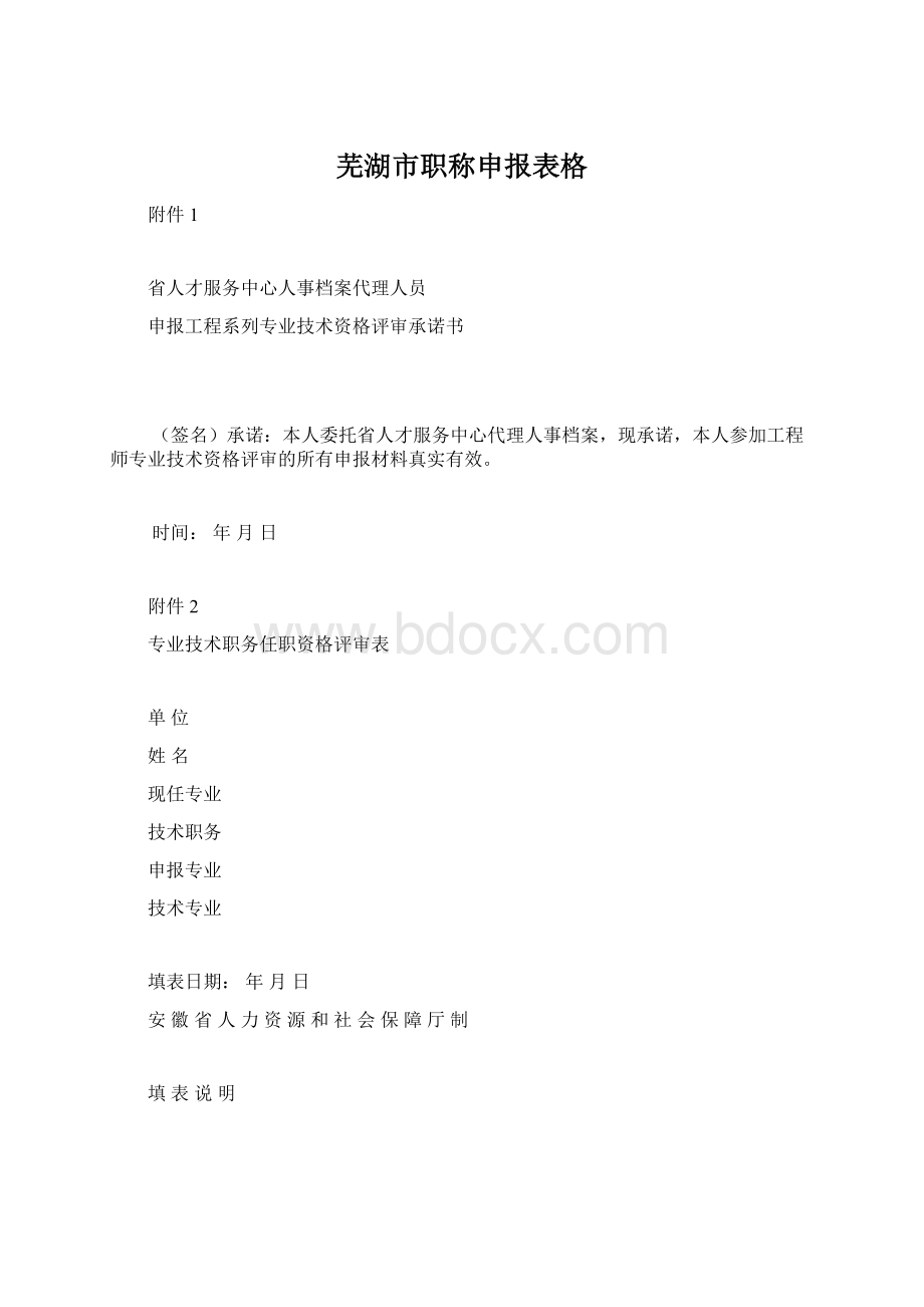 芜湖市职称申报表格Word文件下载.docx