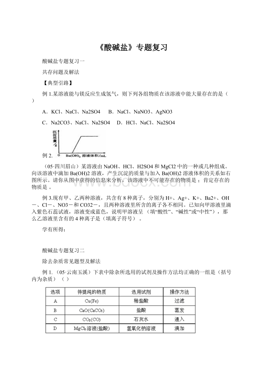 《酸碱盐》专题复习.docx_第1页