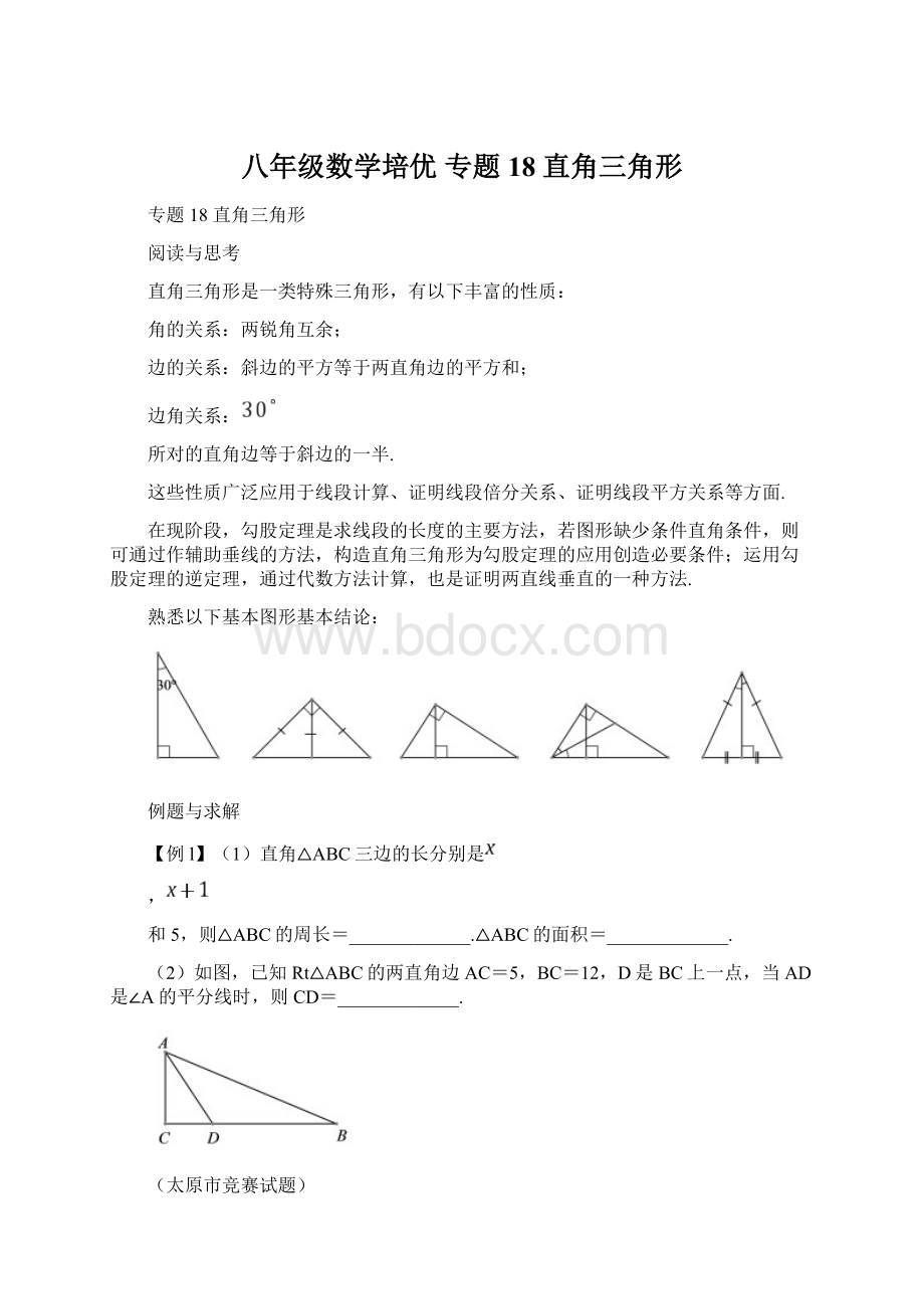 八年级数学培优专题18直角三角形Word文档格式.docx