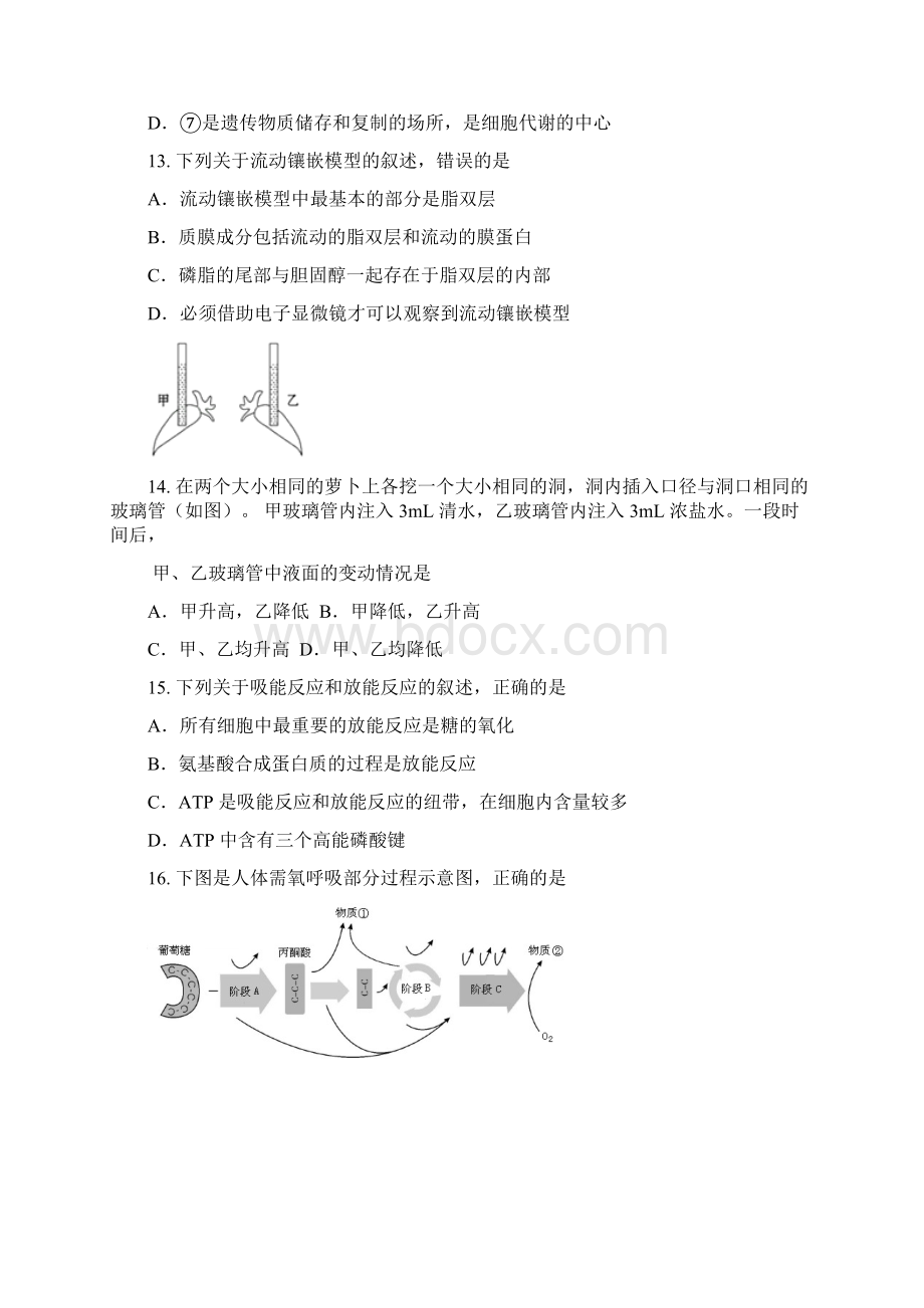 学年浙江省温州市新力量联盟高一下学期期中考生物试题 Word版含答案Word格式文档下载.docx_第3页