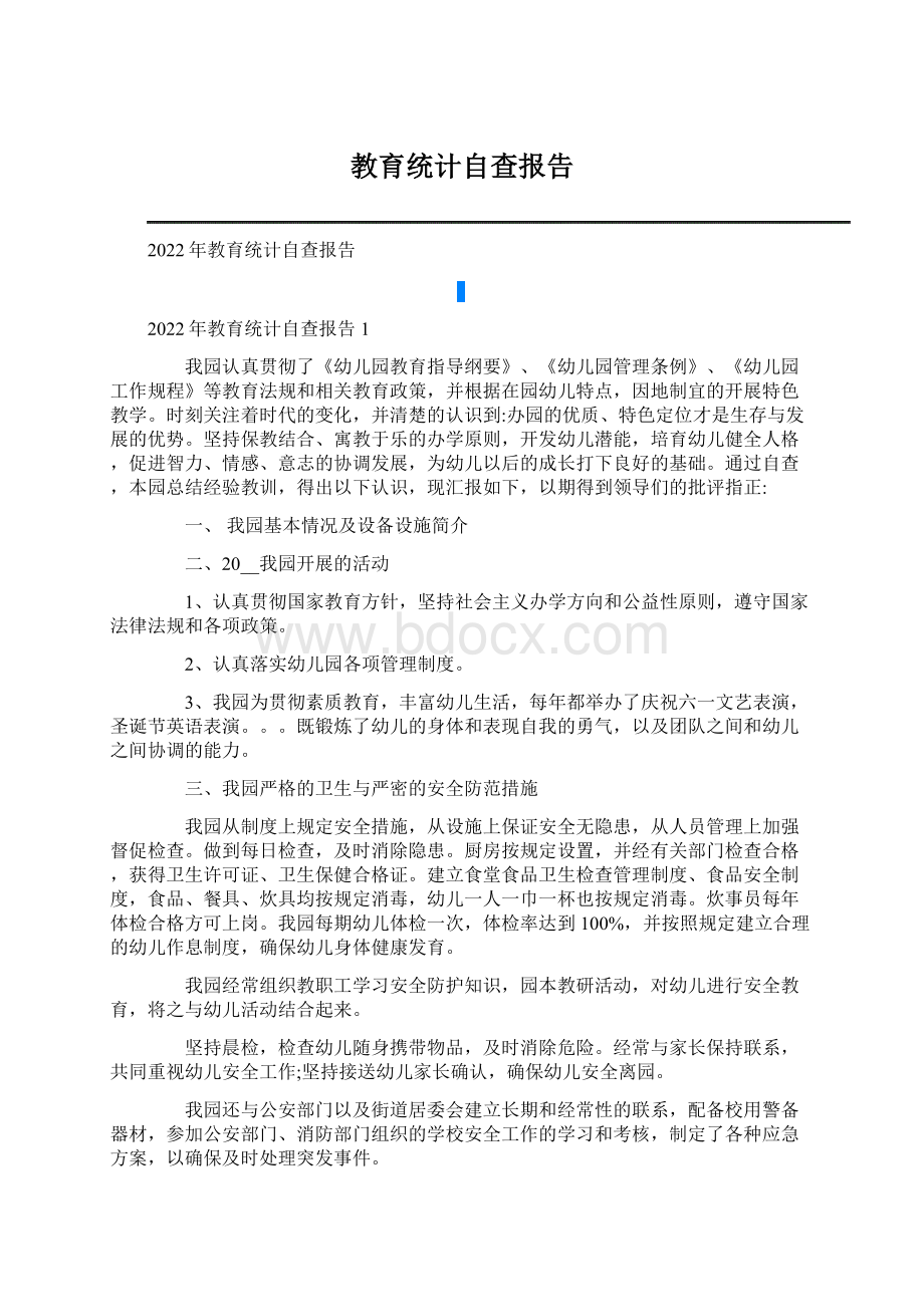 教育统计自查报告Word格式.docx