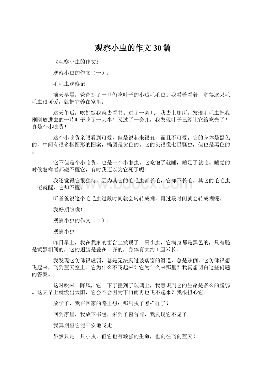 观察小虫的作文30篇Word文件下载.docx