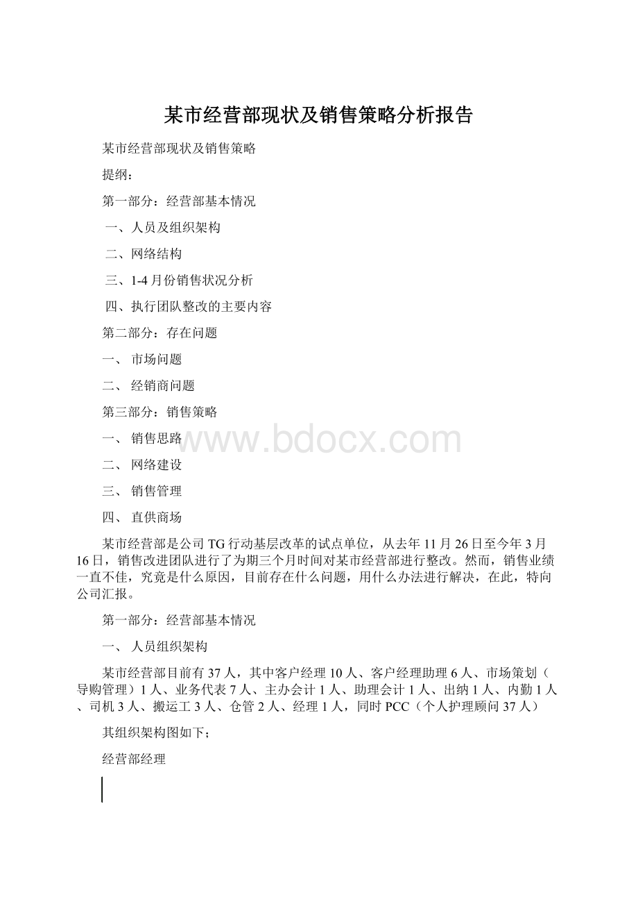 某市经营部现状及销售策略分析报告.docx