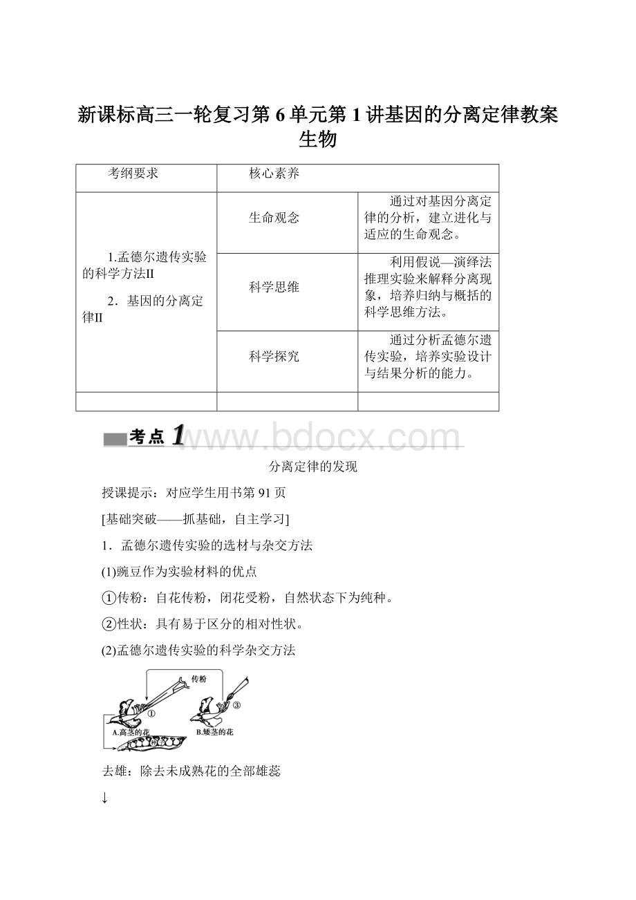 新课标高三一轮复习第6单元第1讲基因的分离定律教案生物.docx_第1页