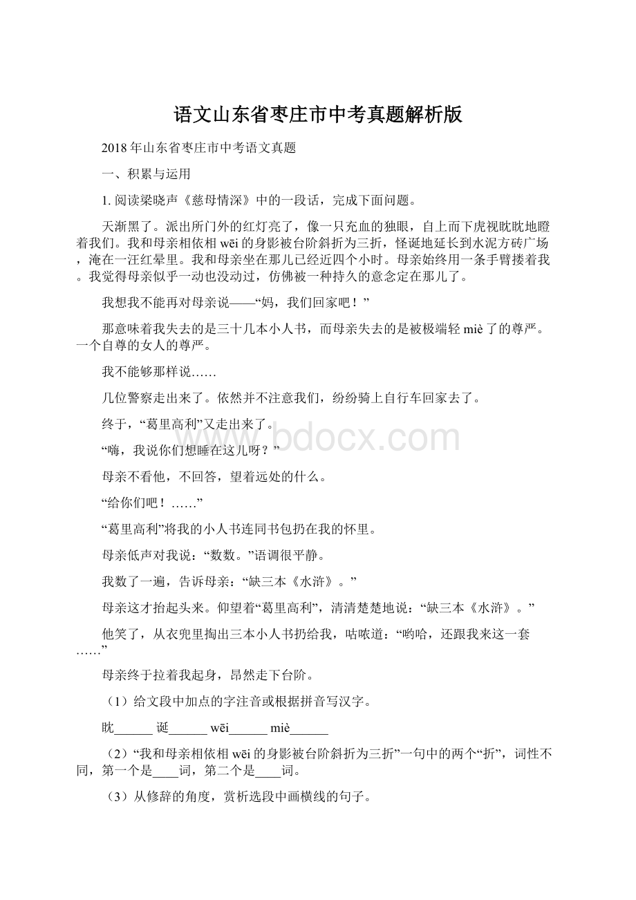 语文山东省枣庄市中考真题解析版.docx