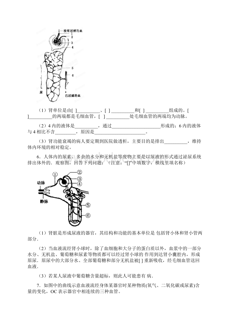 人的排泄综合题Word下载.docx_第3页