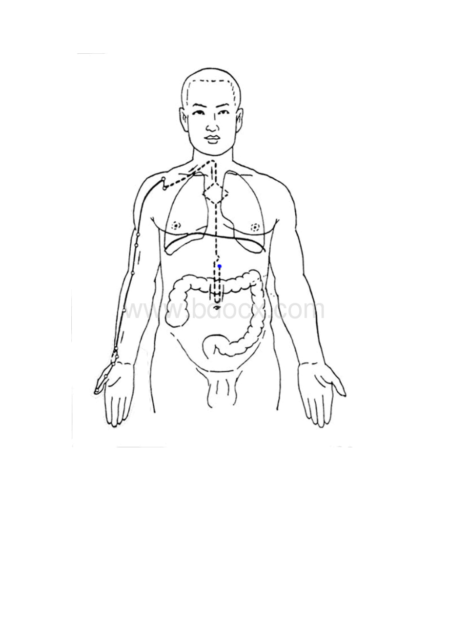 手太阴肺经Word格式文档下载.docx_第2页