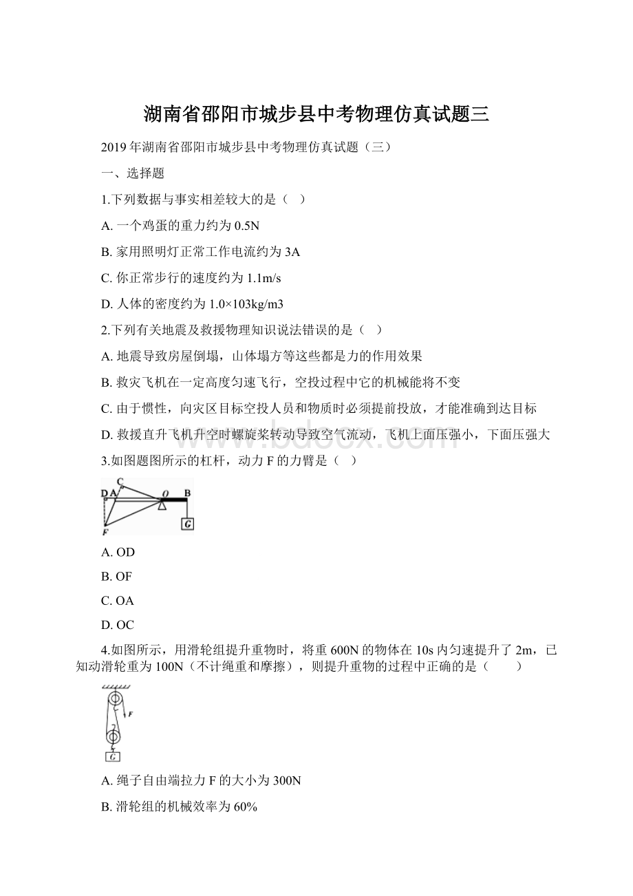 湖南省邵阳市城步县中考物理仿真试题三.docx