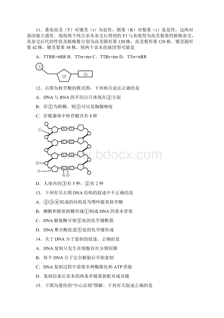 高一第二学期期末考试生物试题高中生物必修2综合测试附答案.docx_第3页