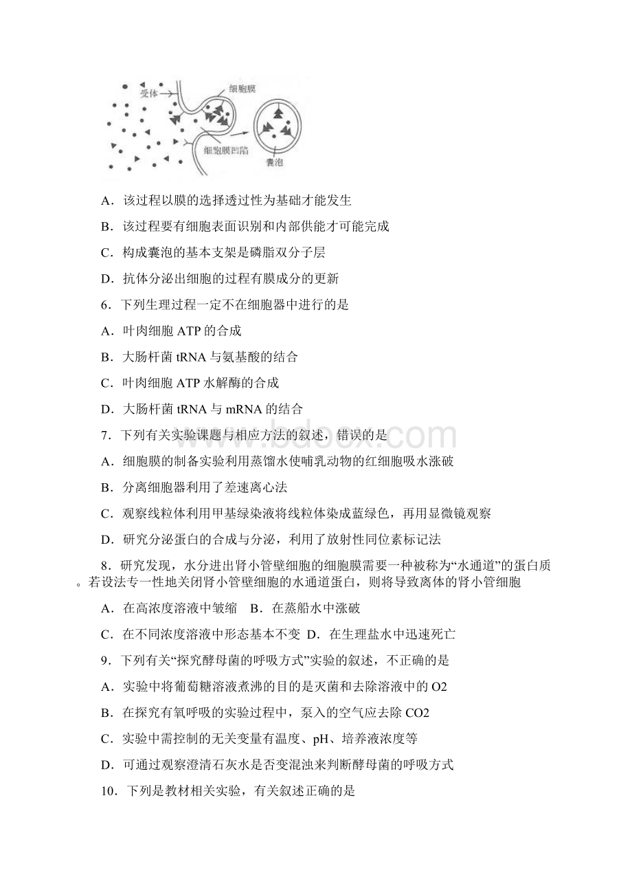 届河北省衡水中学高三上学期五调考试生物试题.docx_第2页