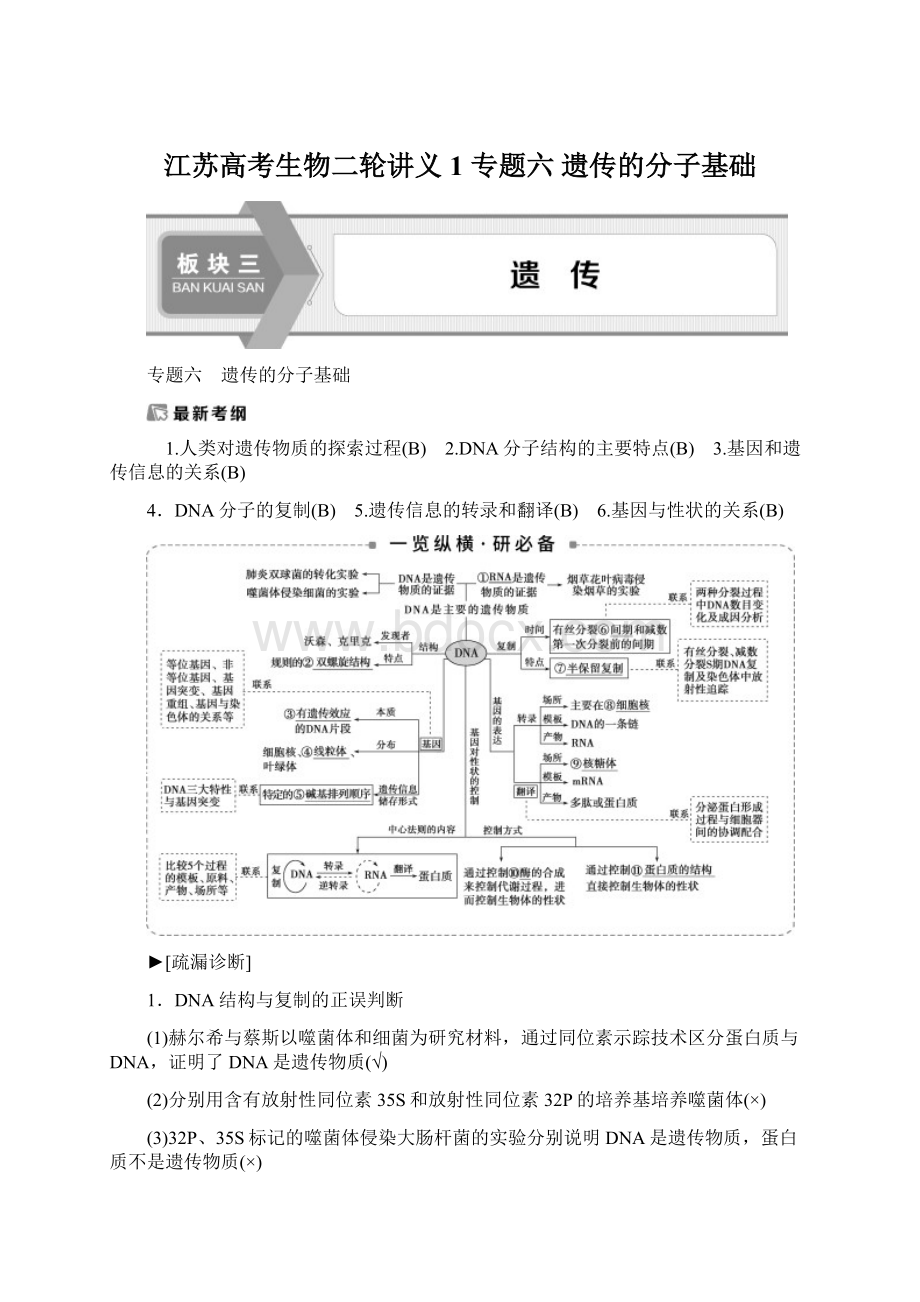 江苏高考生物二轮讲义1 专题六 遗传的分子基础Word文件下载.docx