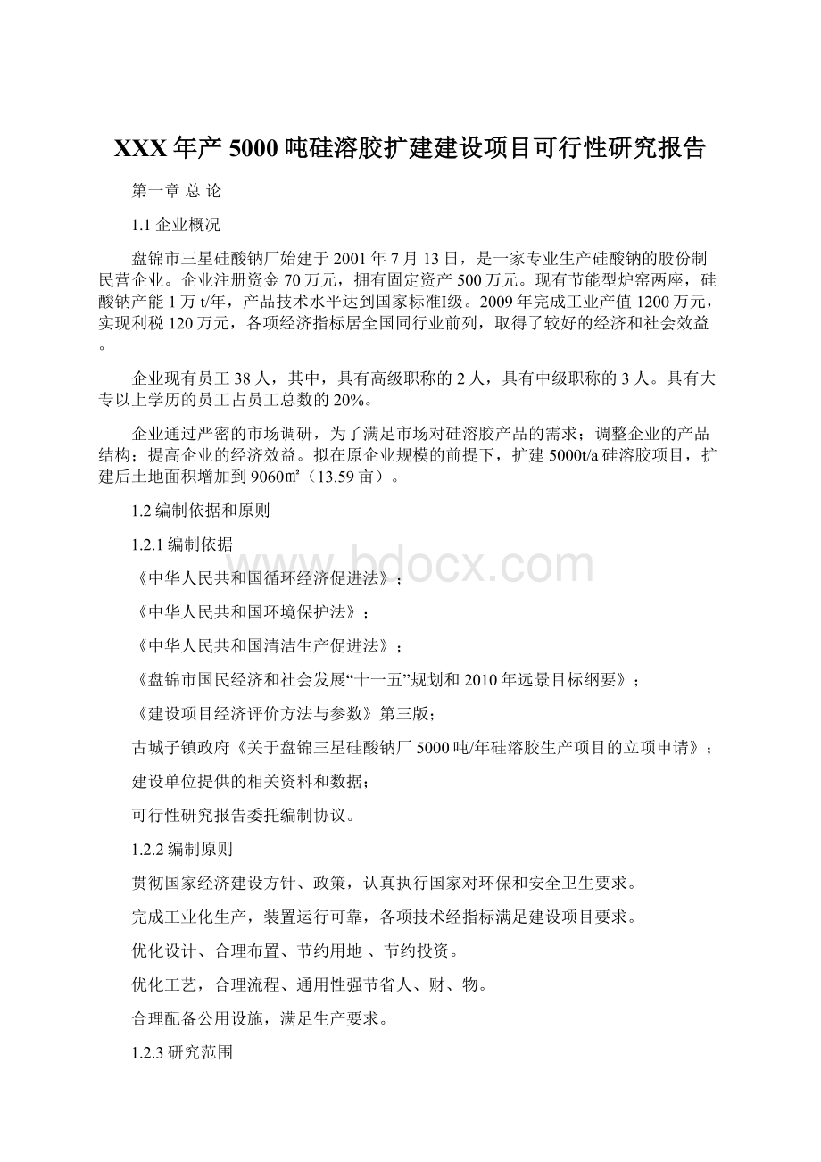 XXX年产5000吨硅溶胶扩建建设项目可行性研究报告Word文档下载推荐.docx_第1页