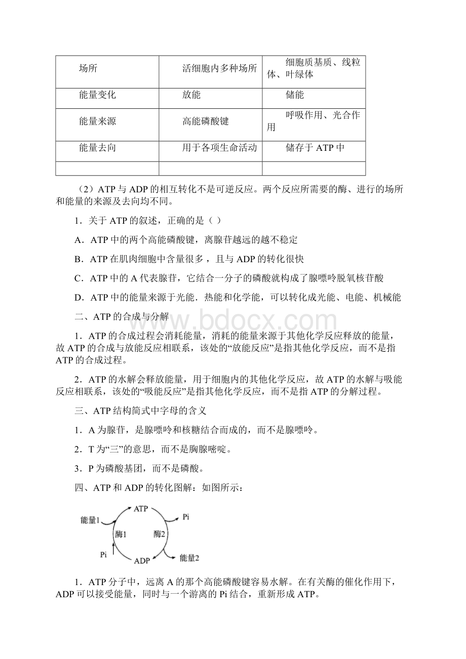 高一生物《细胞的能量通货ATP》Word格式文档下载.docx_第3页