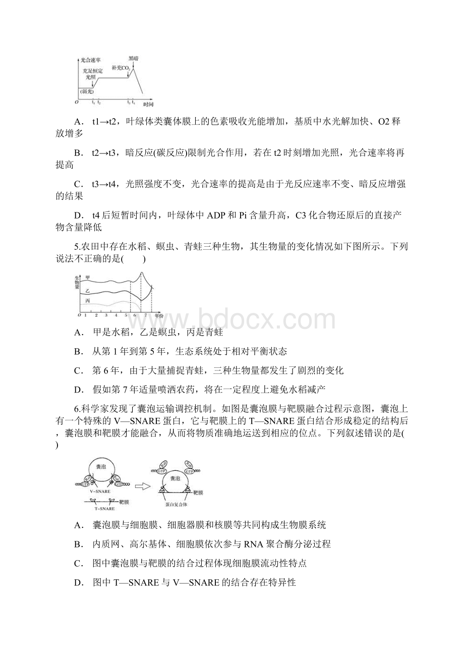 云南省陆良县一中届高三高考适应性检测七生物试题Word格式文档下载.docx_第2页