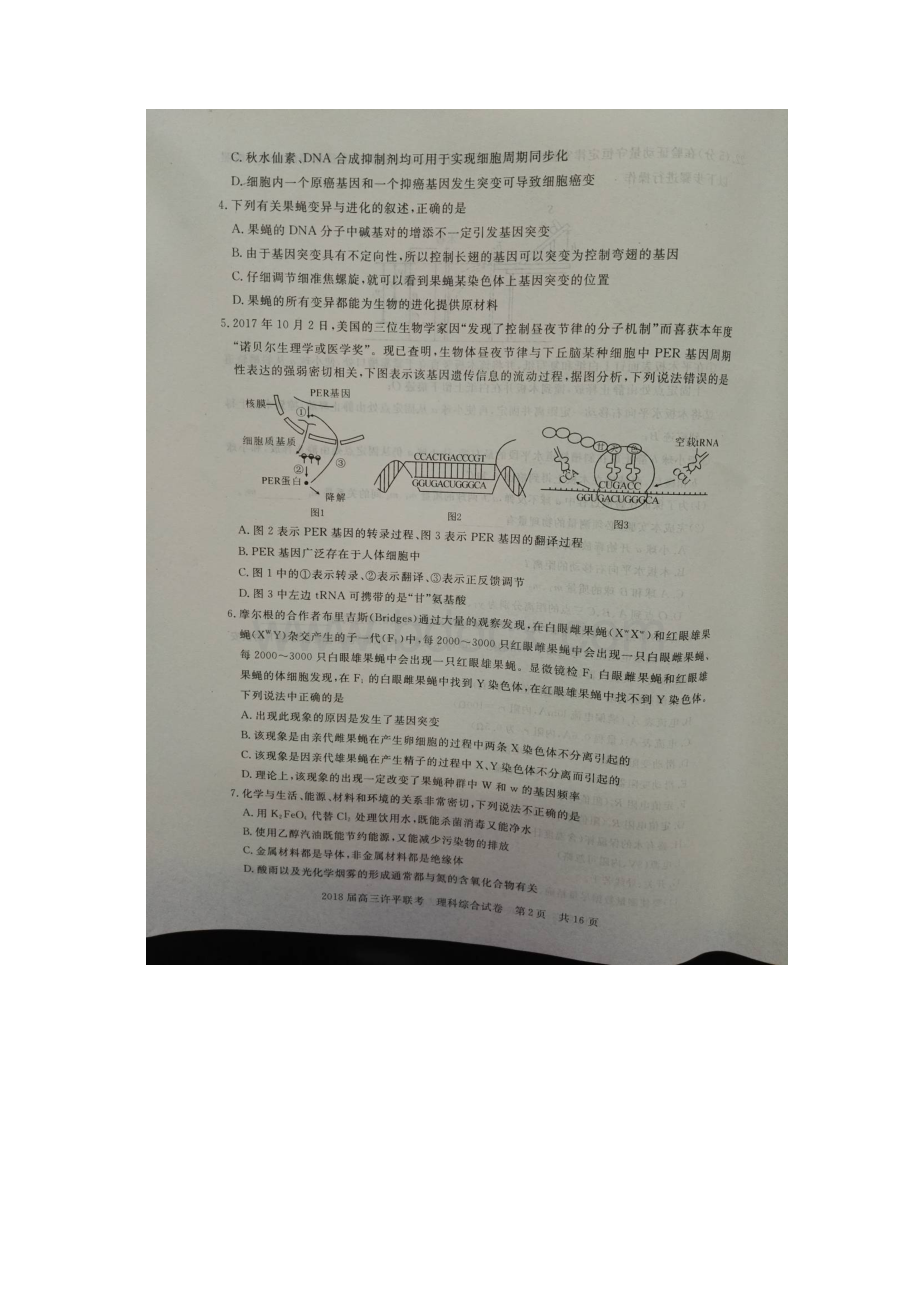 河南省许昌平顶山届高三理综联考试题扫描版Word下载.docx_第2页