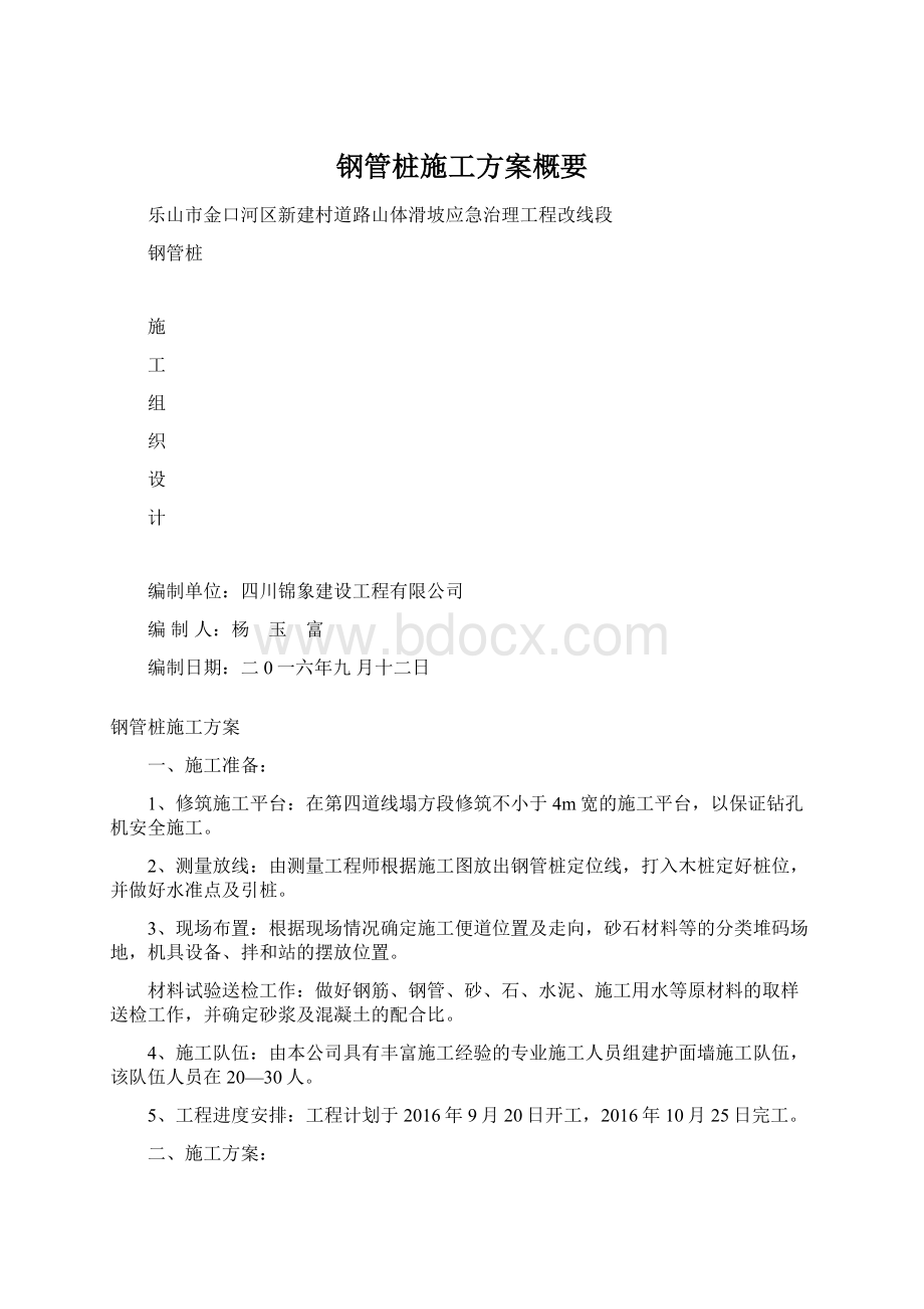 钢管桩施工方案概要.docx