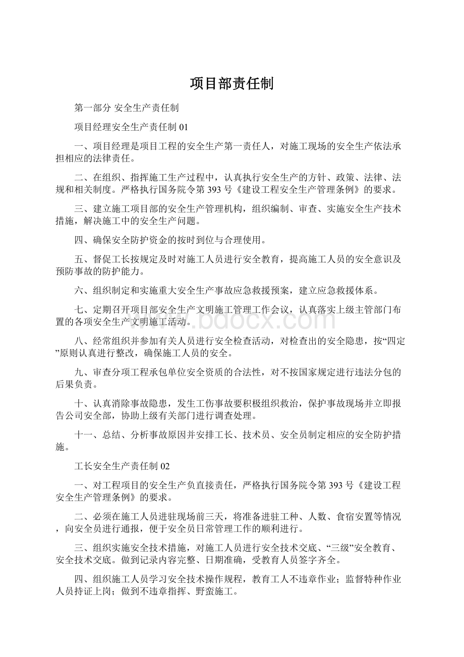 项目部责任制文档格式.docx