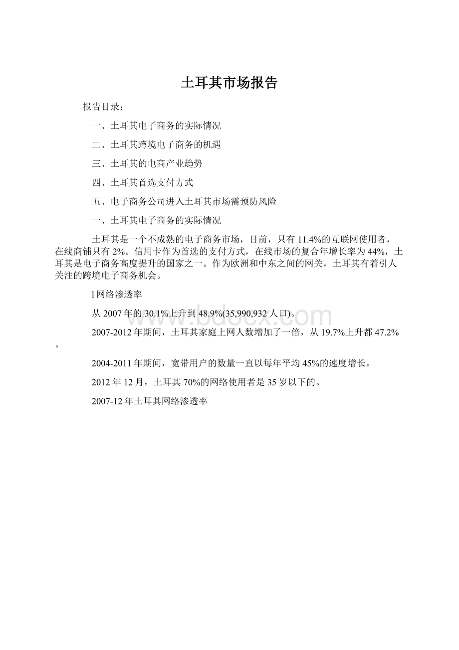 土耳其市场报告Word文档下载推荐.docx