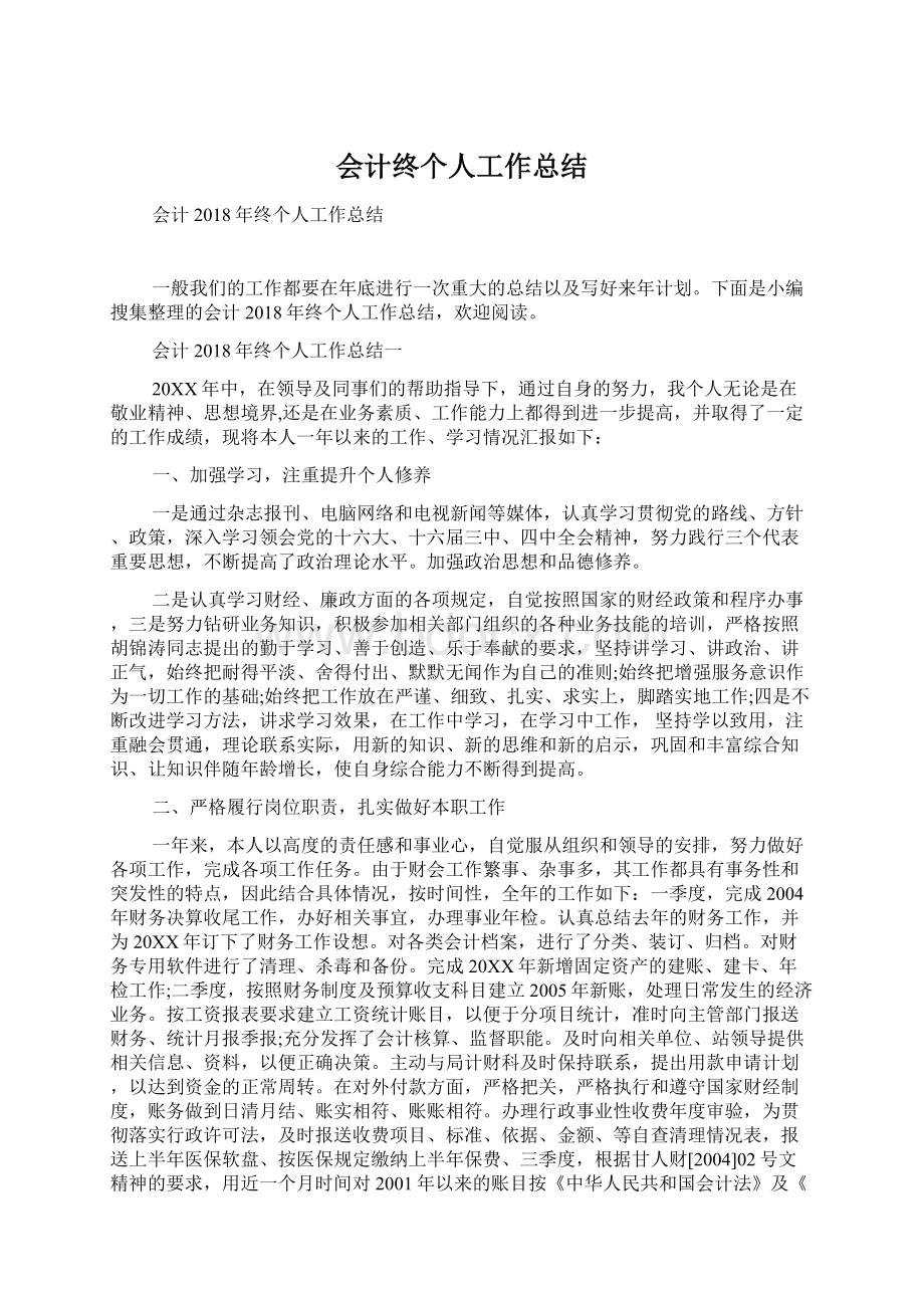 会计终个人工作总结Word文档格式.docx