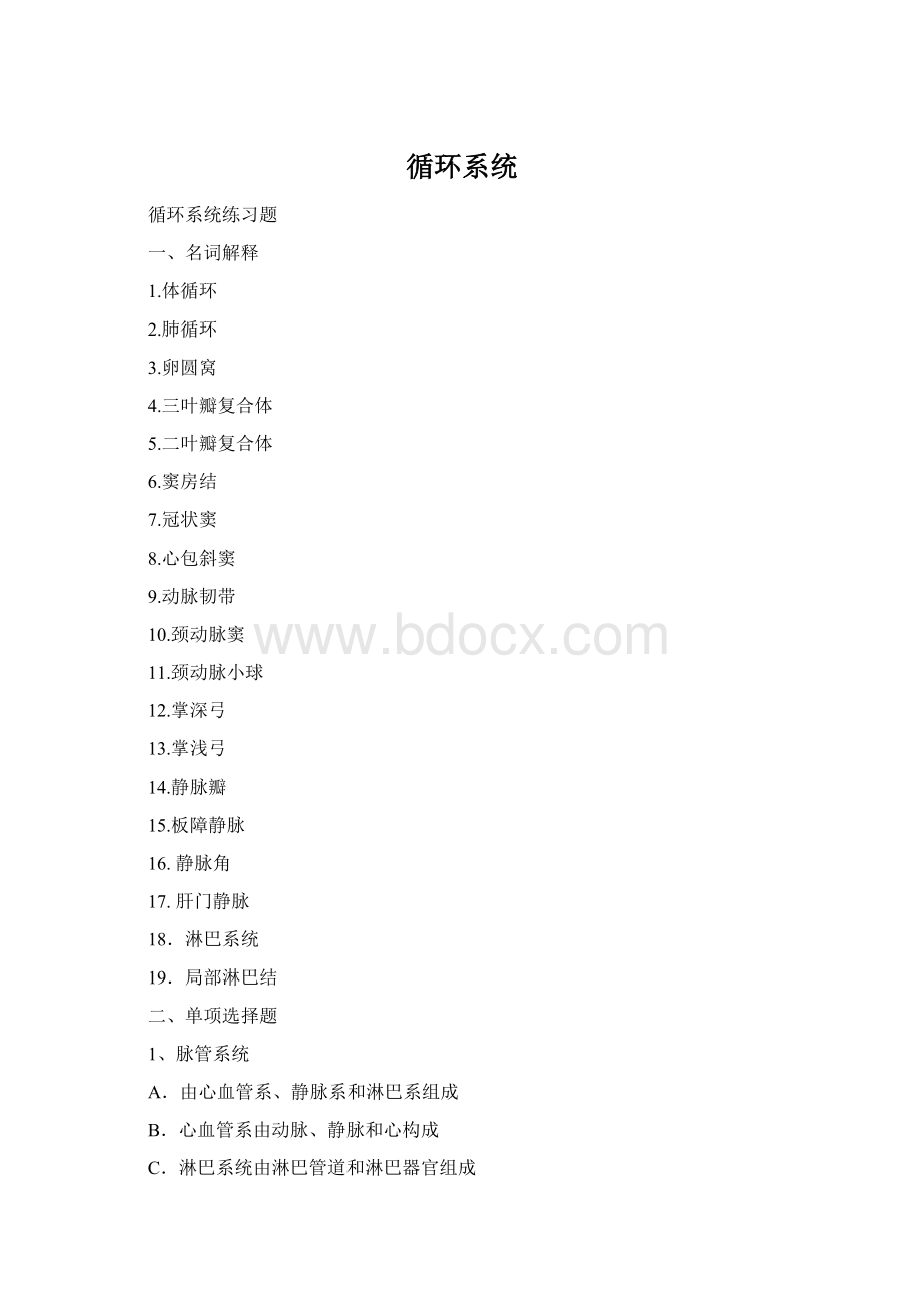 循环系统Word下载.docx