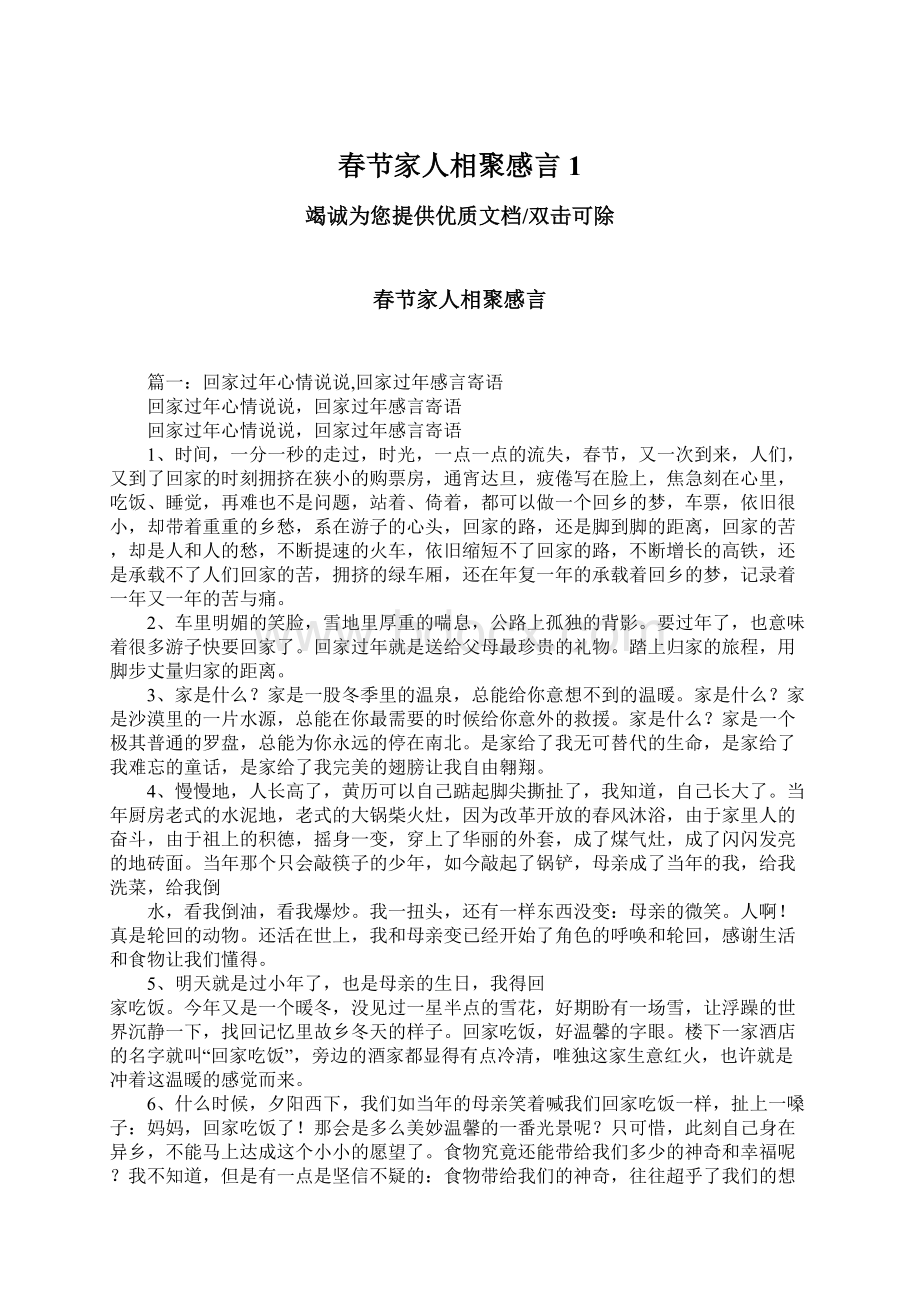 春节家人相聚感言1文档格式.docx