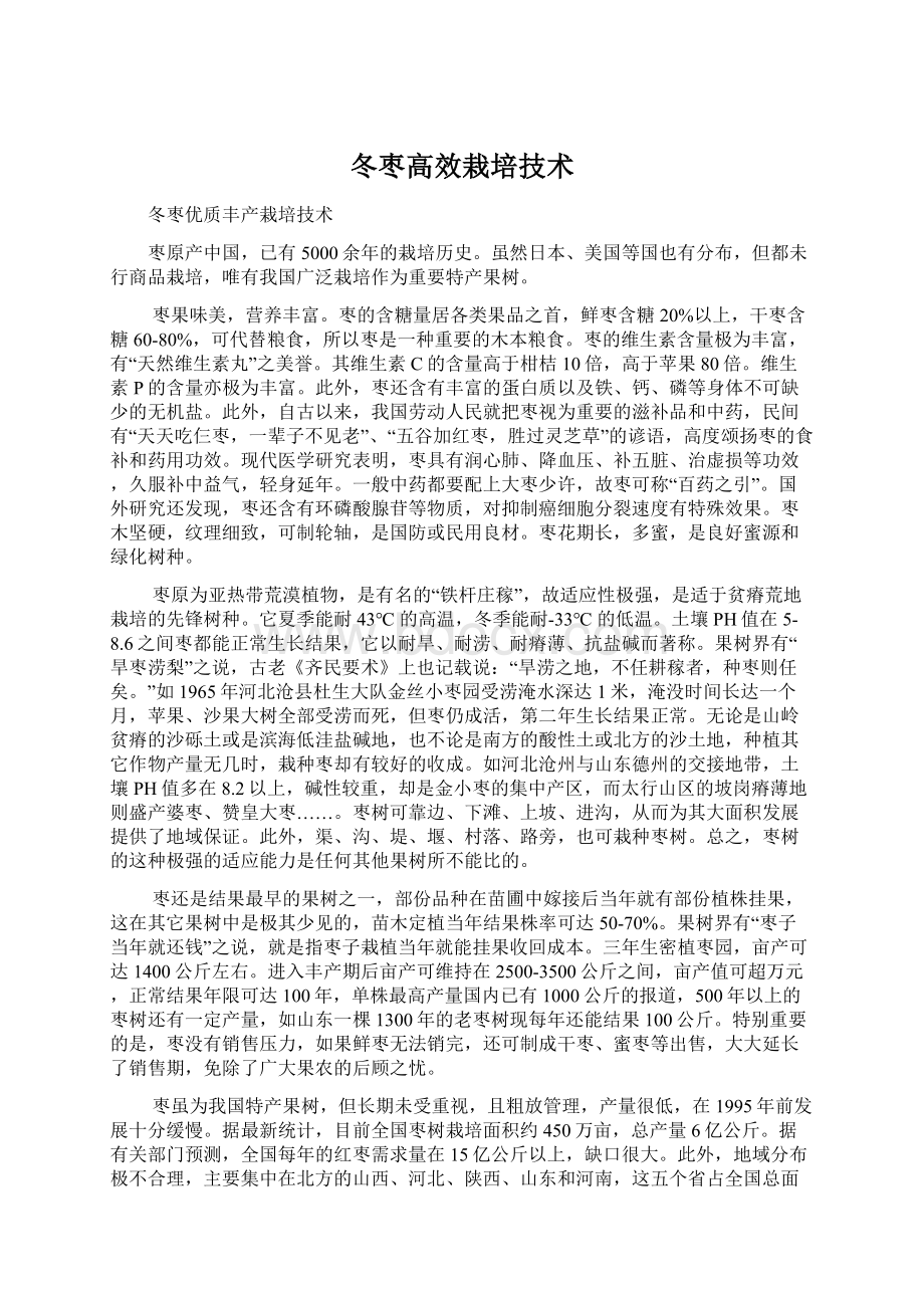 冬枣高效栽培技术Word格式文档下载.docx