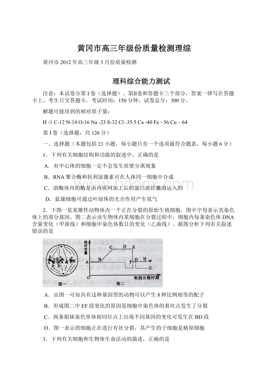 黄冈市高三年级份质量检测理综文档格式.docx_第1页