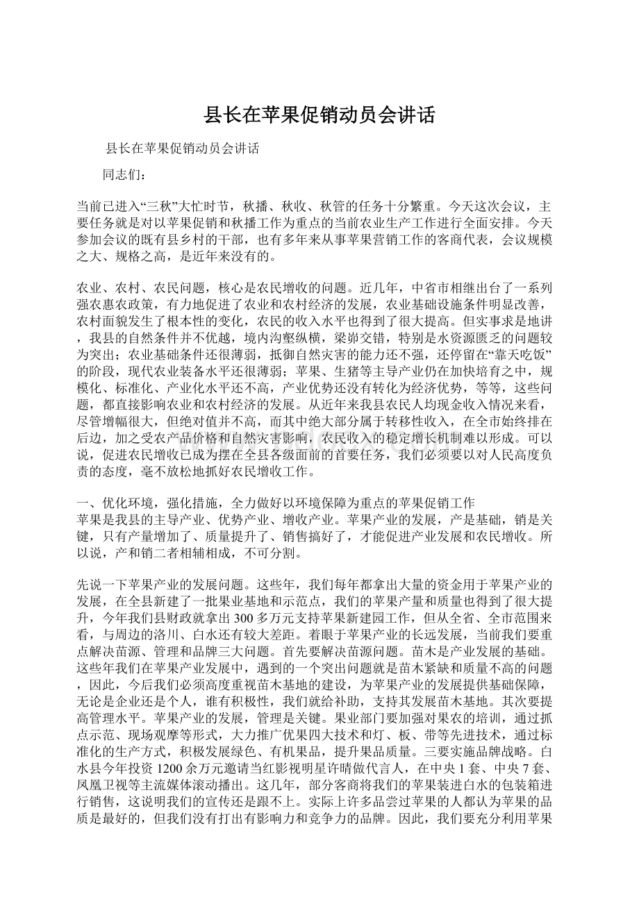 县长在苹果促销动员会讲话Word文件下载.docx