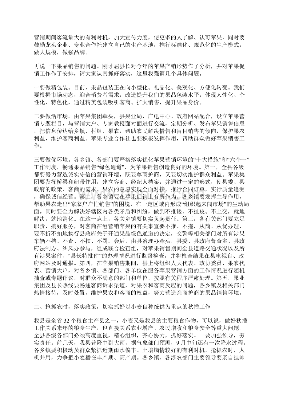 县长在苹果促销动员会讲话Word文件下载.docx_第2页