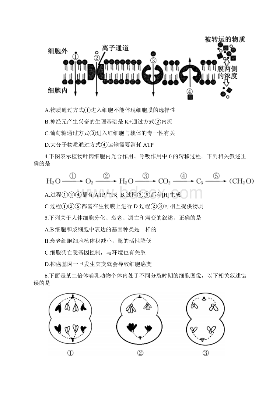 江苏省南通市高考生物考前卷四.docx_第2页