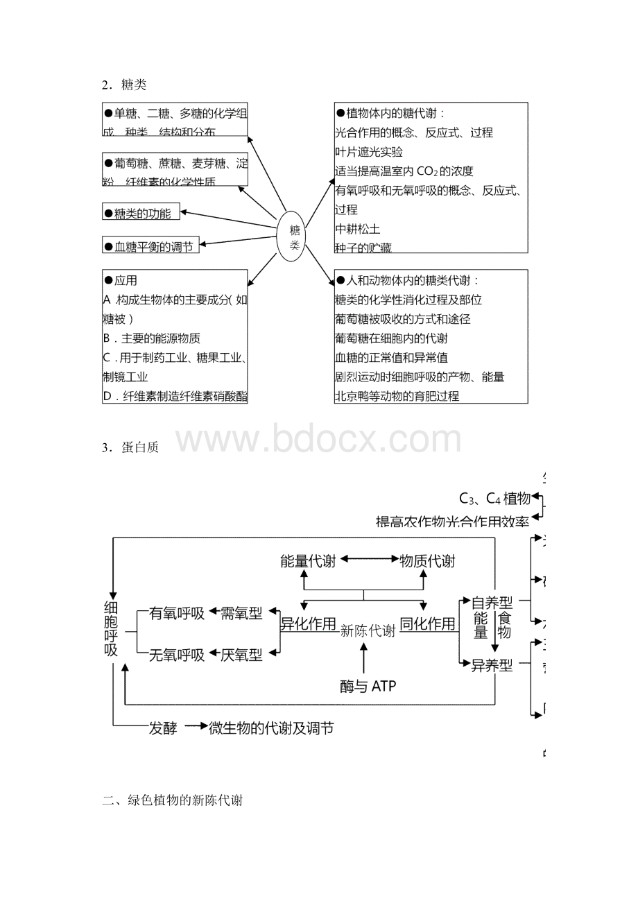 高中生物知识网络体系汇总.docx_第2页