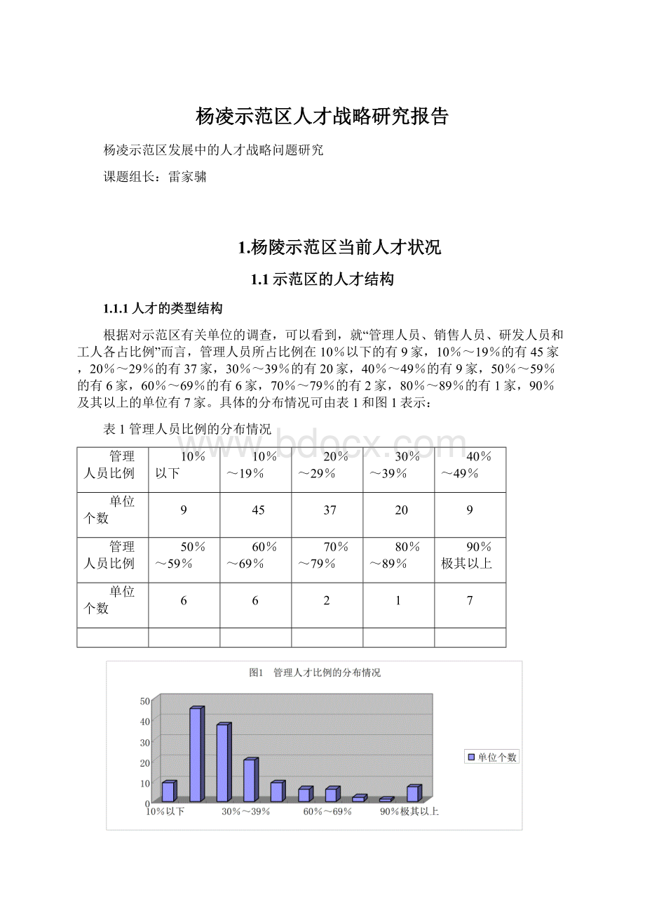 杨凌示范区人才战略研究报告文档格式.docx_第1页