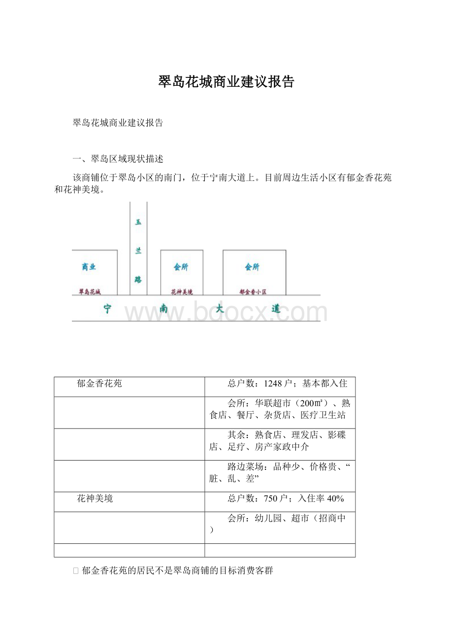 翠岛花城商业建议报告.docx