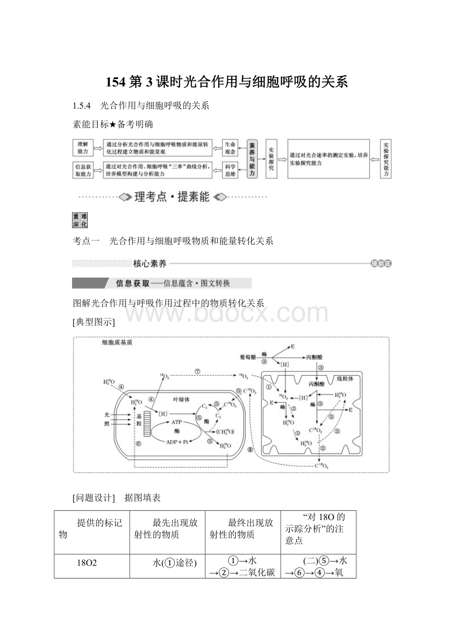 154第3课时光合作用与细胞呼吸的关系.docx