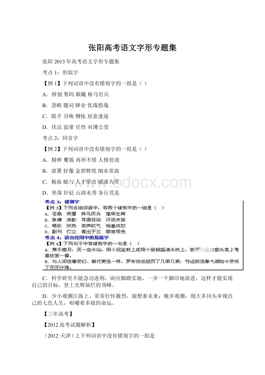 张阳高考语文字形专题集.docx_第1页