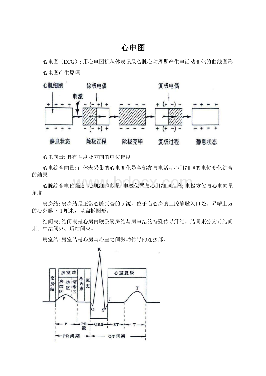 心电图.docx