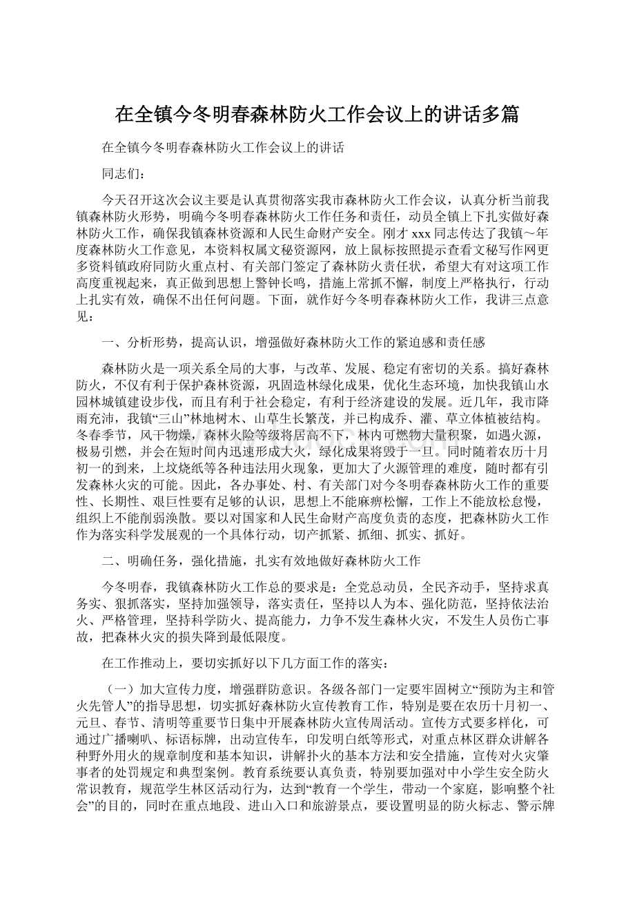 在全镇今冬明春森林防火工作会议上的讲话多篇.docx