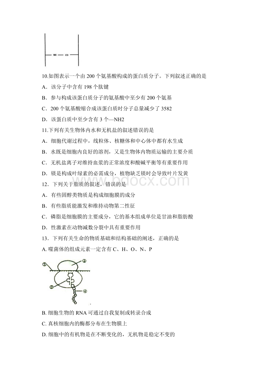 河北省唐山一中届高三第一次月考生物试题.docx_第3页