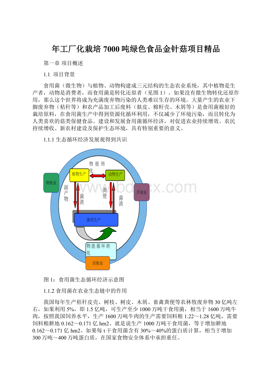 年工厂化栽培7000吨绿色食品金针菇项目精品.docx