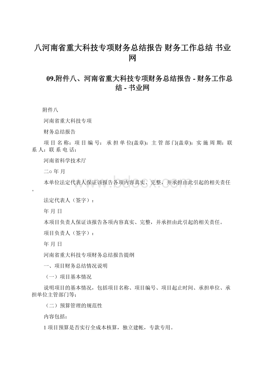 八河南省重大科技专项财务总结报告 财务工作总结书业网Word文件下载.docx