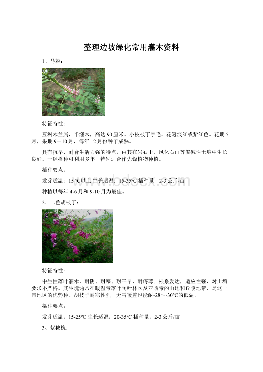 整理边坡绿化常用灌木资料.docx_第1页