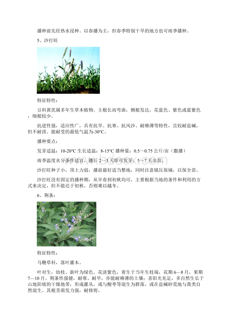 整理边坡绿化常用灌木资料.docx_第3页